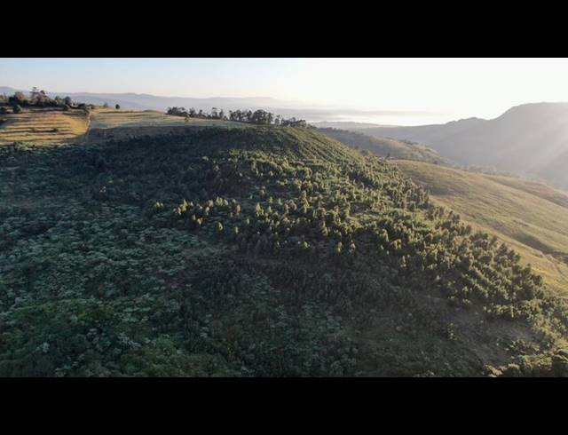 LAND FOR SALE IN MOUNT VERDE